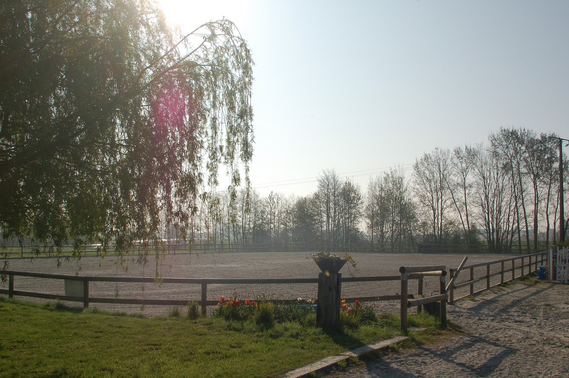 Système d'arrosage équestre